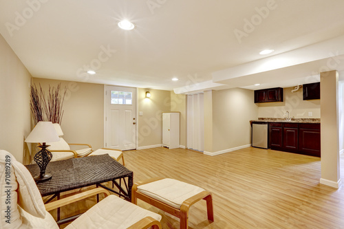 Tapeta Basement mother-in-law apartment. Living room and kitchen area