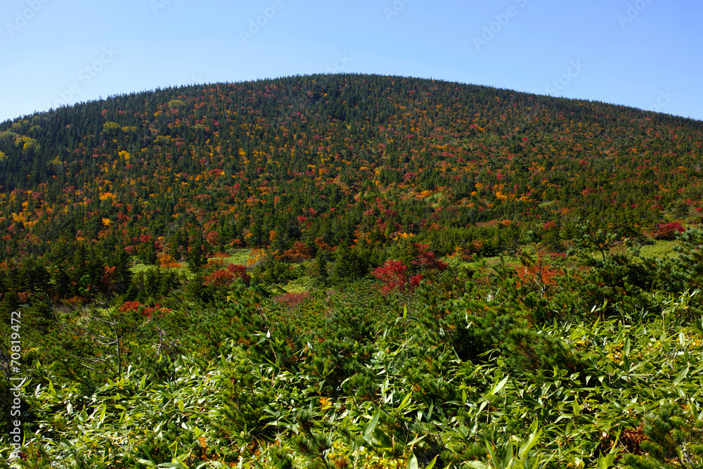 東吾妻山の紅葉 東吾妻山の紅葉