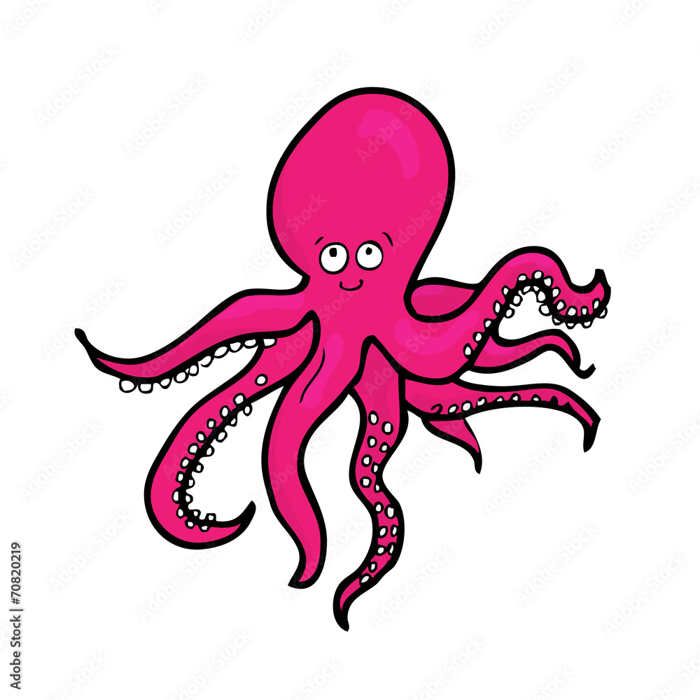 Octopus Octopus