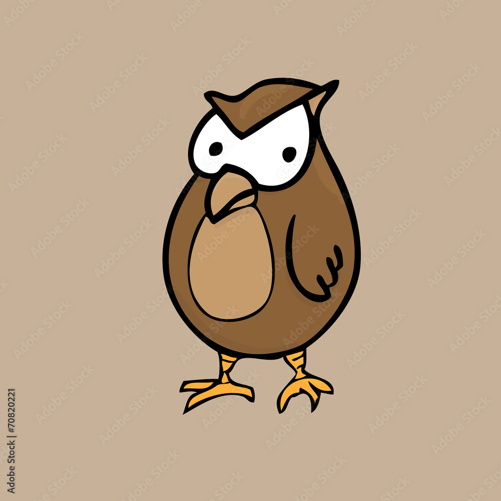 Fototapeta premium Owl