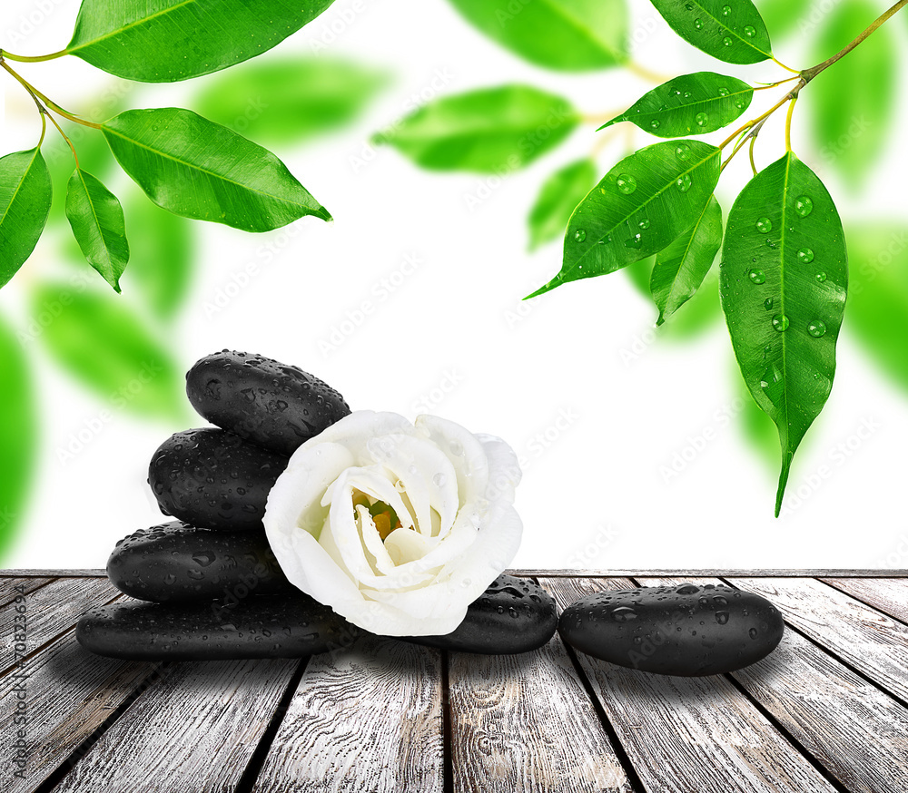 Fototapeta premium Spa treatment