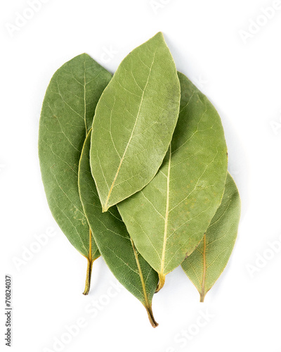 Fototapeta Aromatic bay leaves