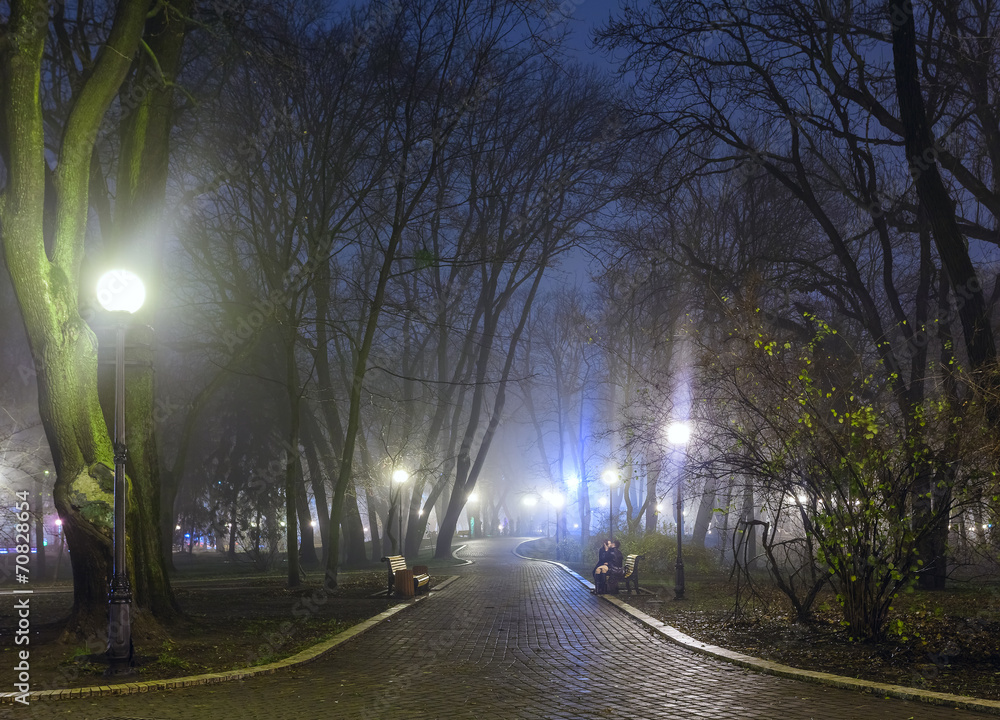 The avenue of autumn city park at night