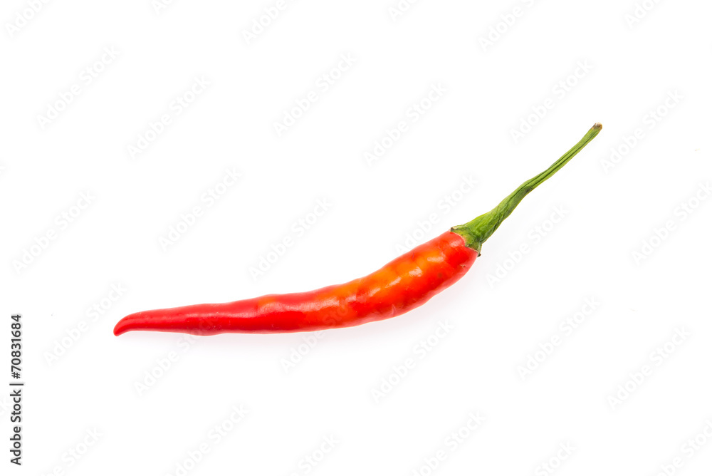 Chilli isolated on white