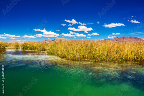 Lake Titicaca Reeds