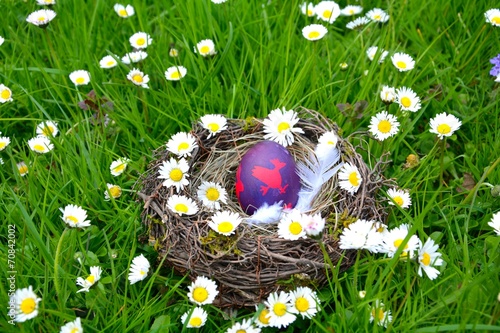 Osternest und Gänseblümchen