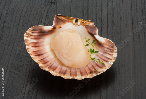 Raw scallops photo