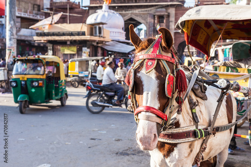 Ride horse cart at Sadar Market, India.