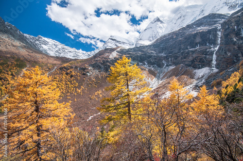 Colorful autumn