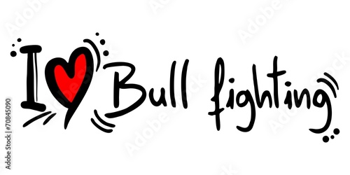Bull fighting love
