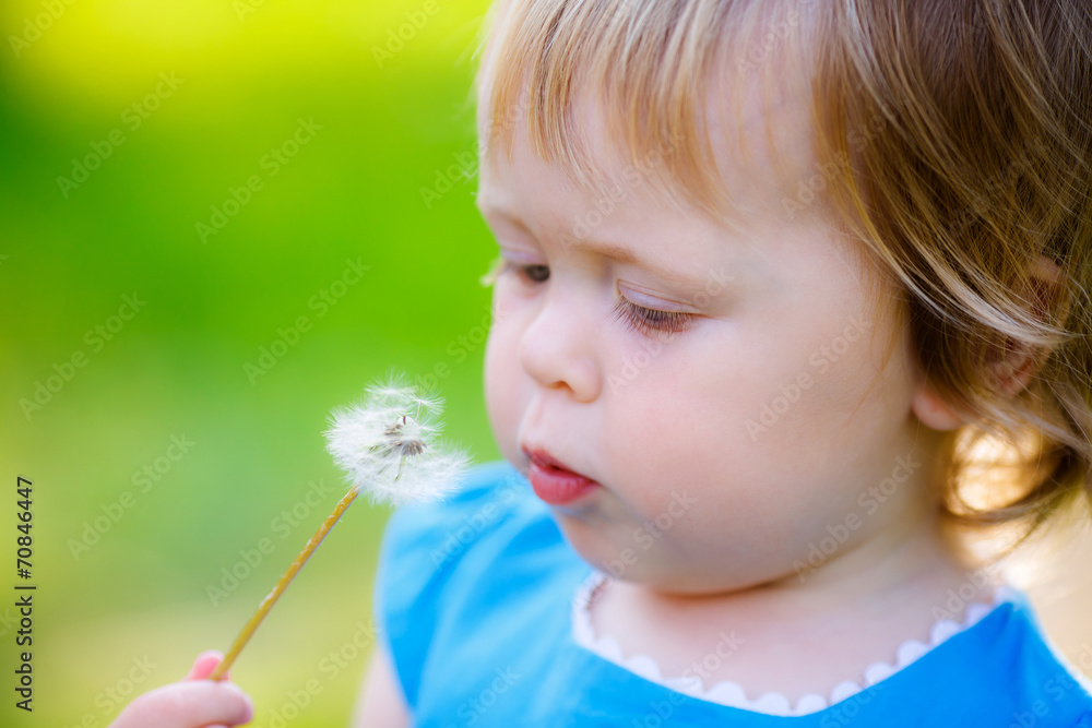 Adorable little girl blowing on white dandelion in the park Adorable little girl blowing on white dandelion in the park