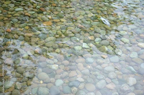 hot springs photo