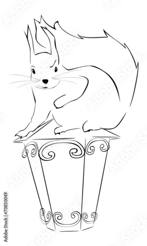 Белка и фонарь