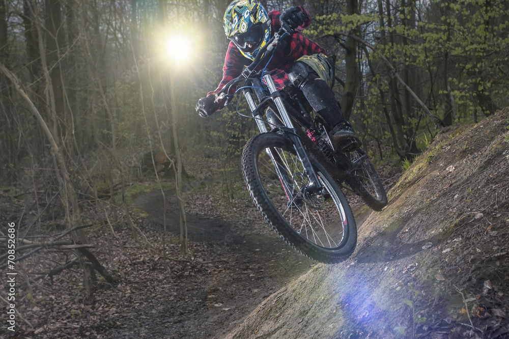 Germany, Lower Saxony, Deister, Bike Freeride in forest Germany, Lower Saxony, Deister, Bike Freeride in forest