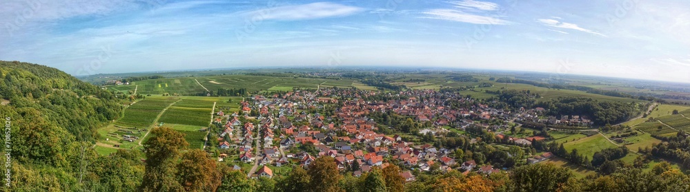 Blick von der Burg Landeck und die Weinberge bei Klingenmünster