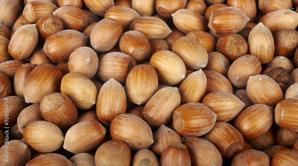 nocciole nocciole