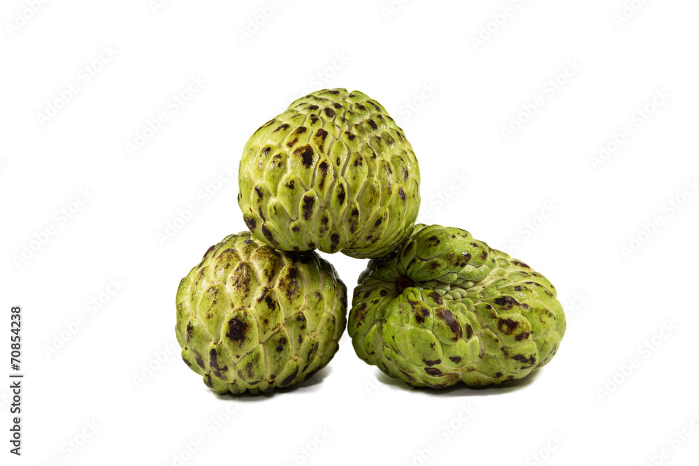 Obraz premium Custard Apple