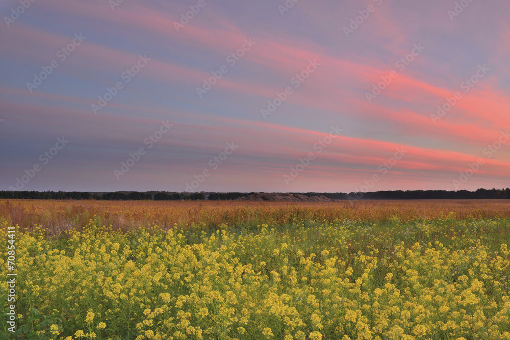 Закат в осеннем поле