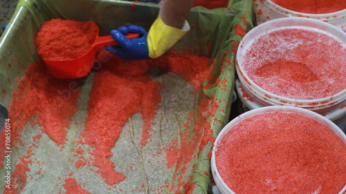 cutting  fresh  fish photo