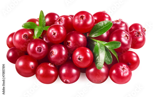 Cranberry isolated on white. With clipping path