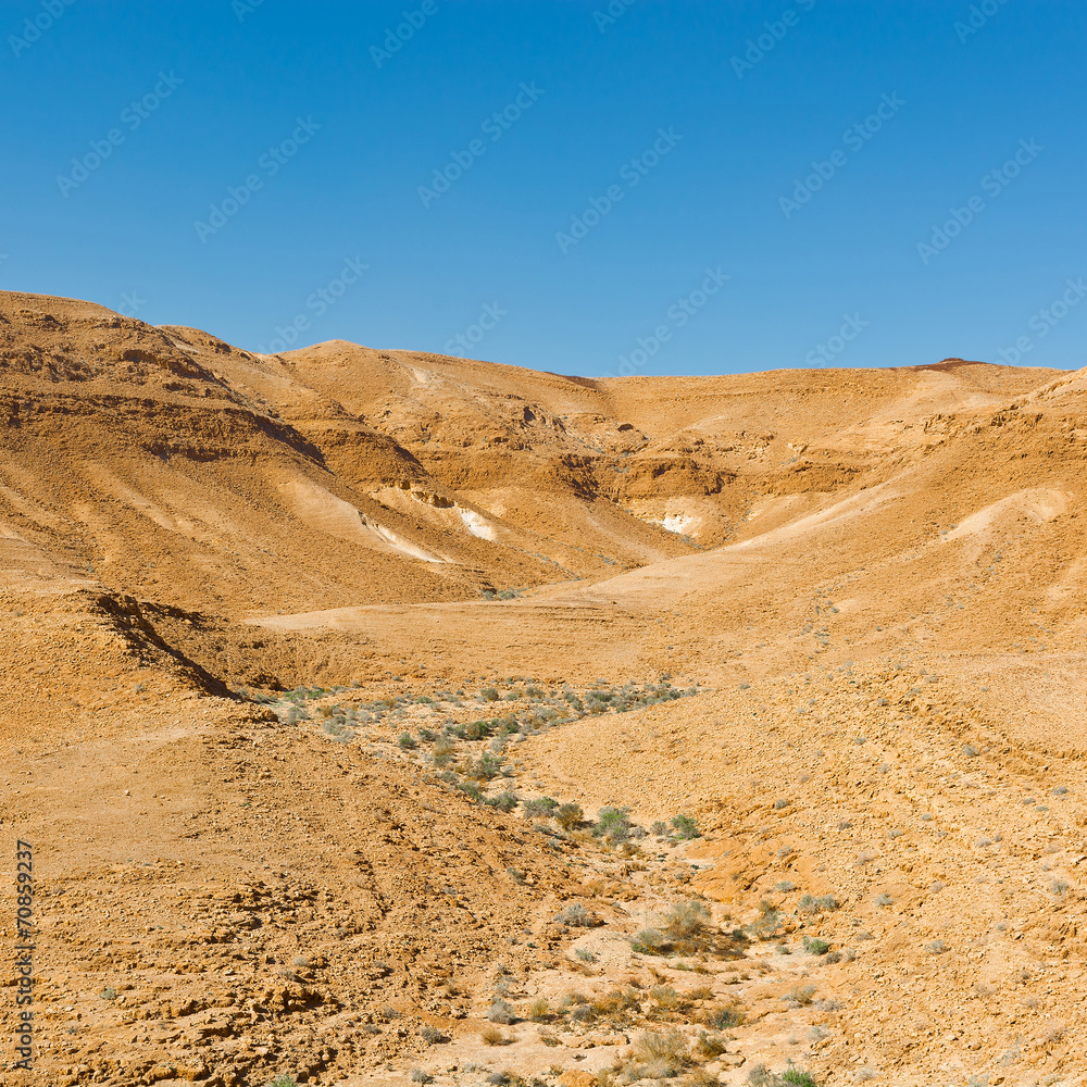 Naklejka premium Dry Riverbed