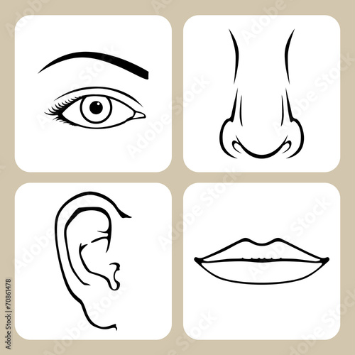 Set of faces part