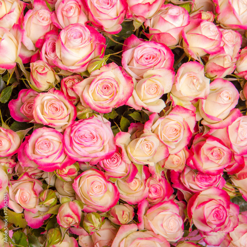 Abstract background of flowers. Close-up.