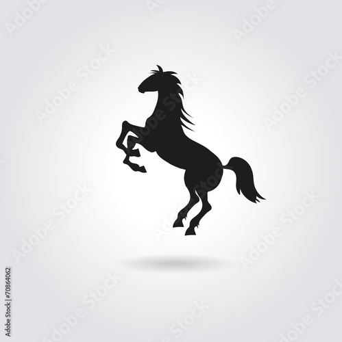 Fototapeta Naklejka Na Ścianę i Meble -  rearing up graceful black silhouette horse