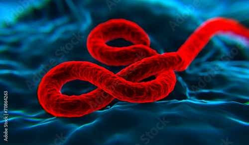 Ebola wirus 4 photo