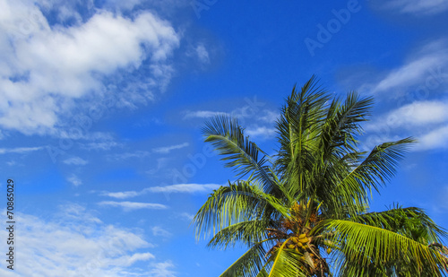 Jellyfish cloud on the blue sky