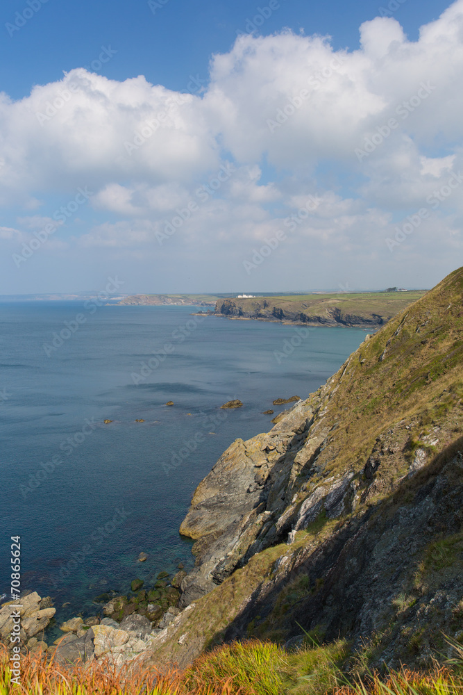 Fototapeta premium Coast view from Mullion Cove Lizard peninsula south Cornwall UK