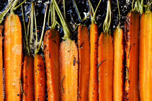 Obraz na plátne Roasted carrots with herbs
