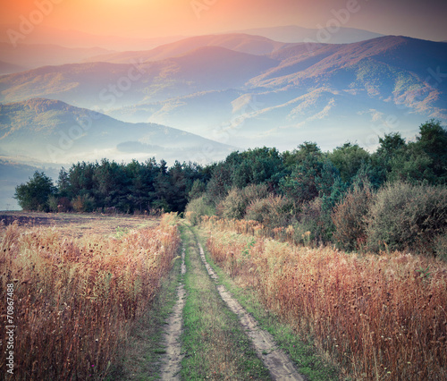 Colorful autumn landscape in the mountains