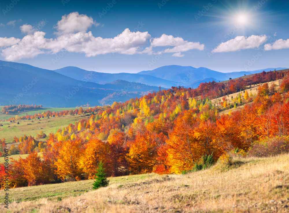 Colorful autumn landscape in the mountains Colorful autumn landscape in the mountains