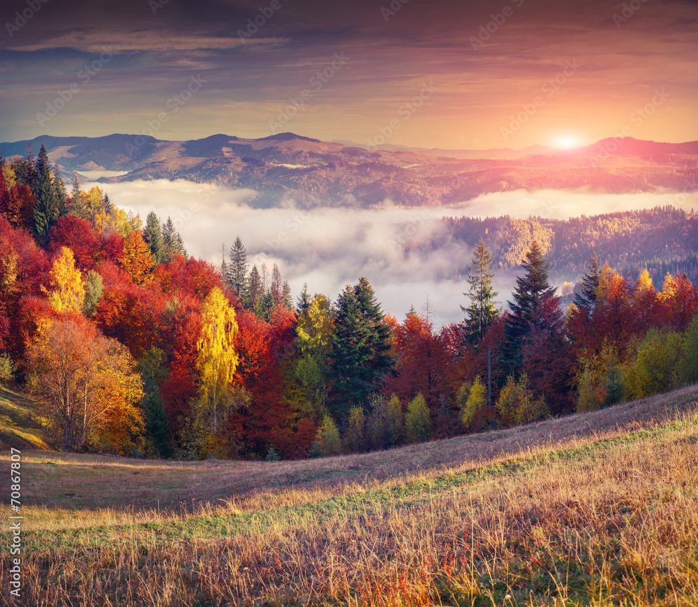 Colorful autumn sunrise in the mountains. - obrazy, fototapety, plakaty 