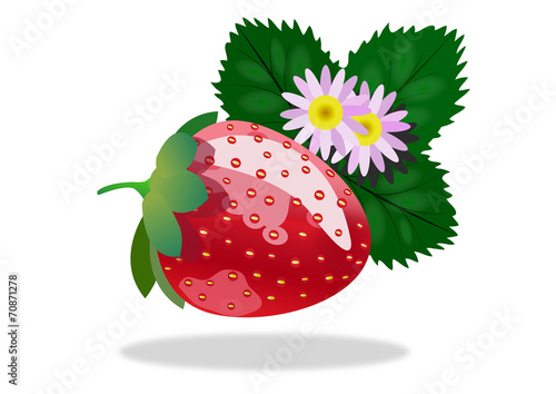 Strawberry