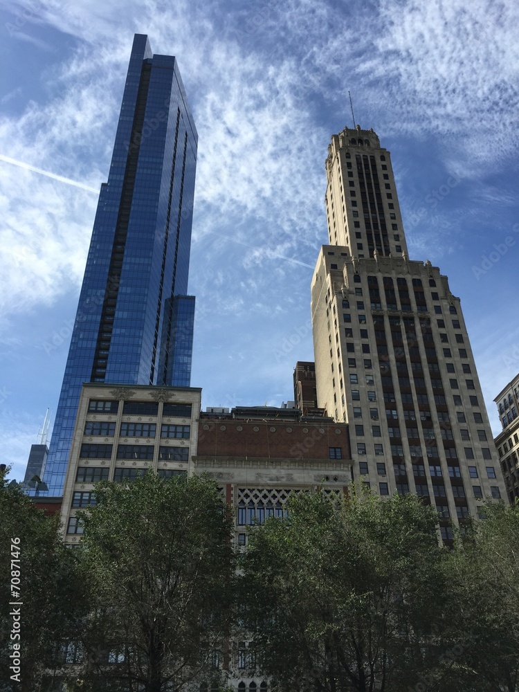 Chicago grattacieli millennium park