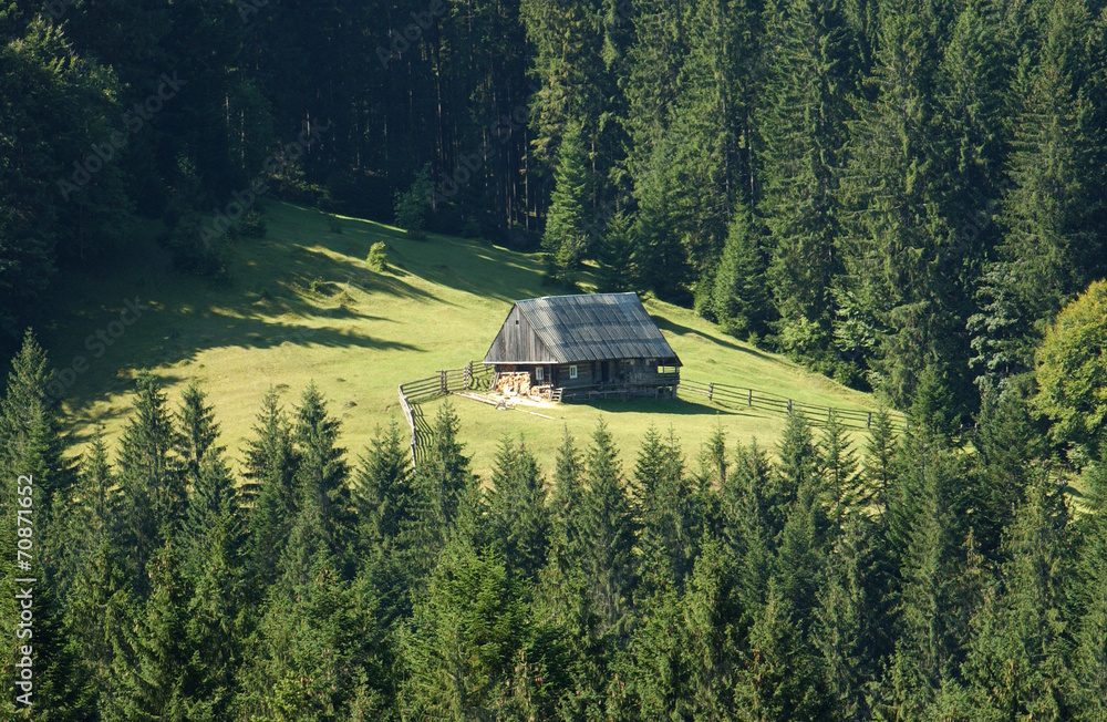 wooden house in the mountains between the trees