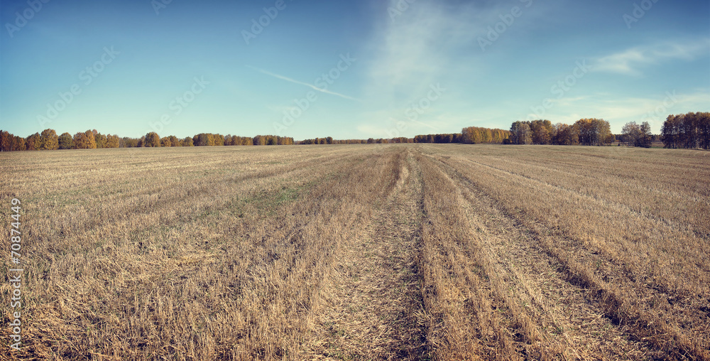 Beautiful autumn panorama in a sunny day with mowed field