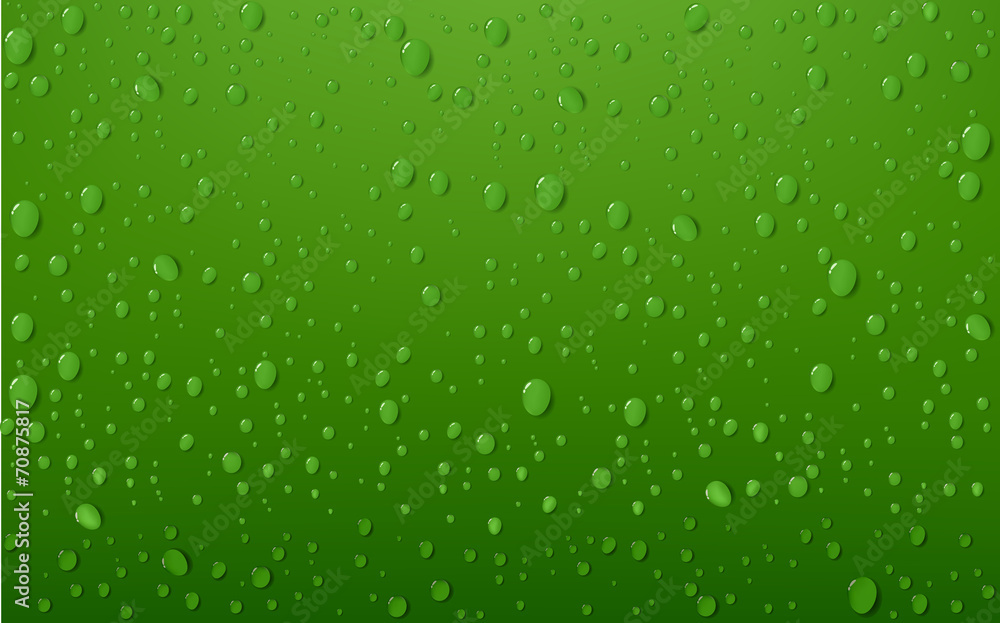 Water Drop On Green Background