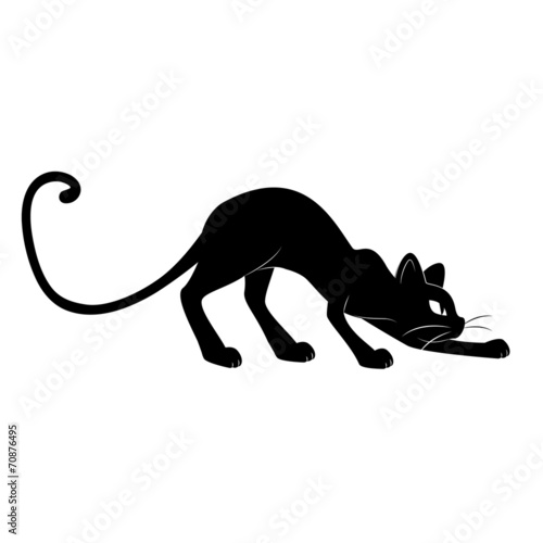 Black cat silhouette.