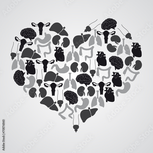 internal human body organs in heart shape eps10