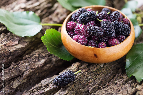 Mulberry