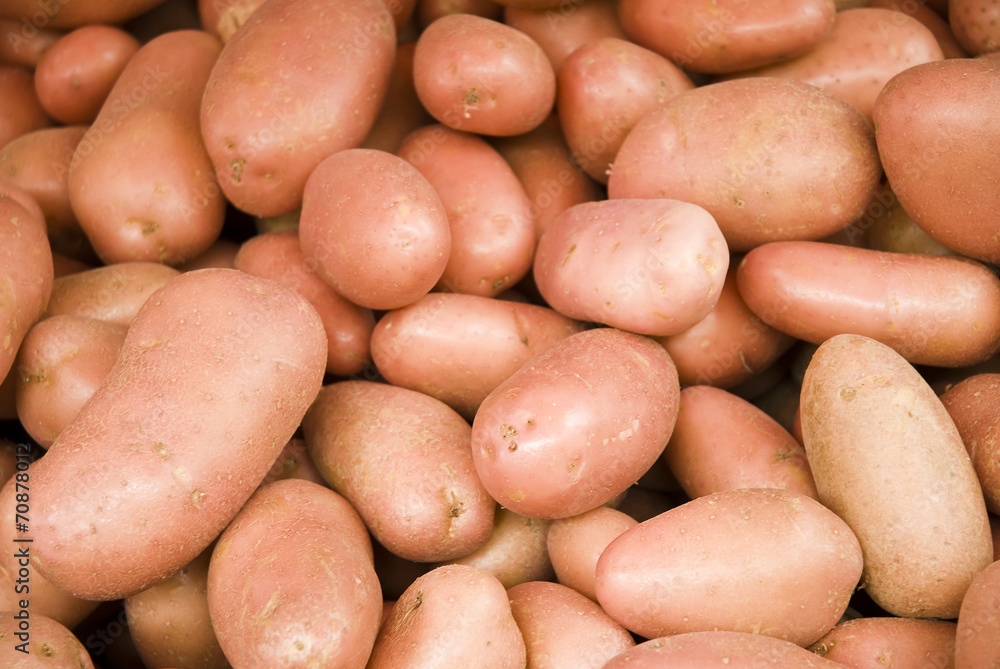 Fresh organic young potatoes sold on market