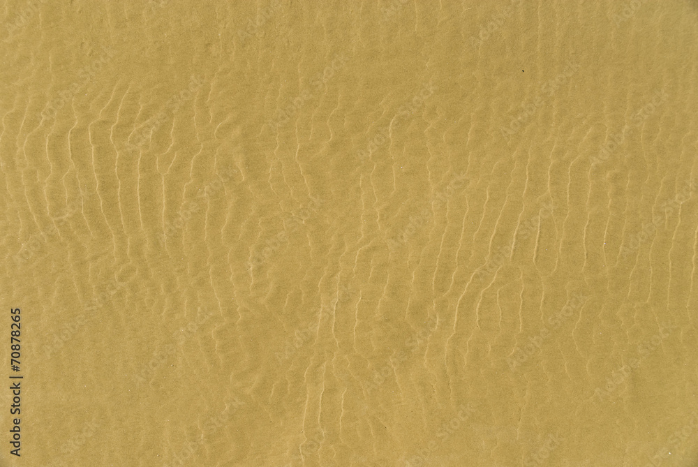 Obraz premium Sand texture. Sandy beach for background.