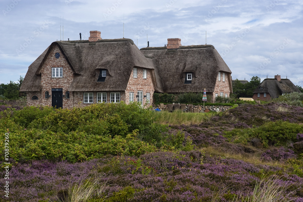 Obraz premium Reethaus mit Friesenwall auf Sylt, Deutschland
