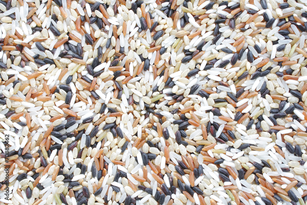 Mixed rices Mixed rices