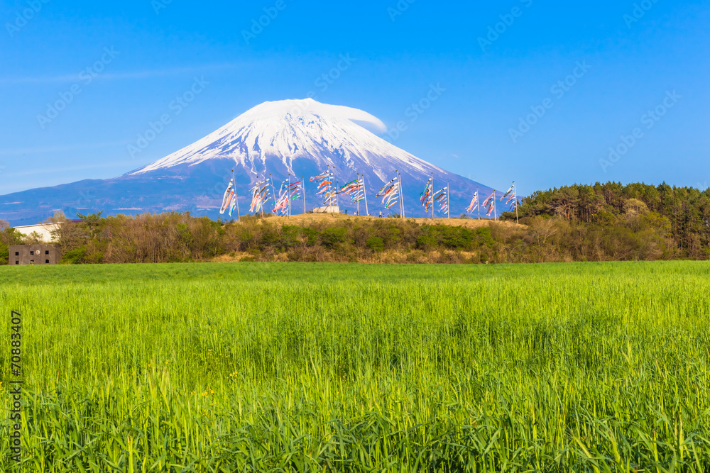 Colorful carp banners and Mount Fuji