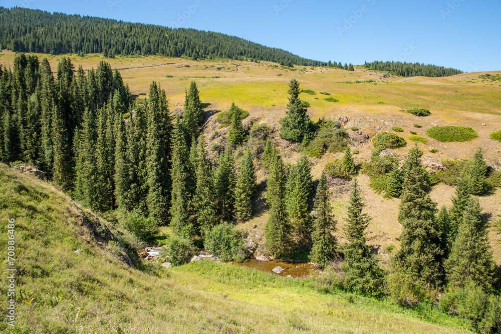 Assy plateau in Tien-Shan mountain  in Almaty, Kazakhstan