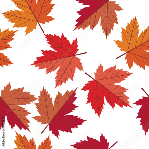 vector seamless pattern maple leaf